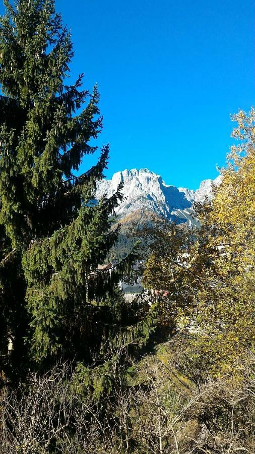 DosoledoBalcone Sulle Dolomiti 2公寓 外观 照片