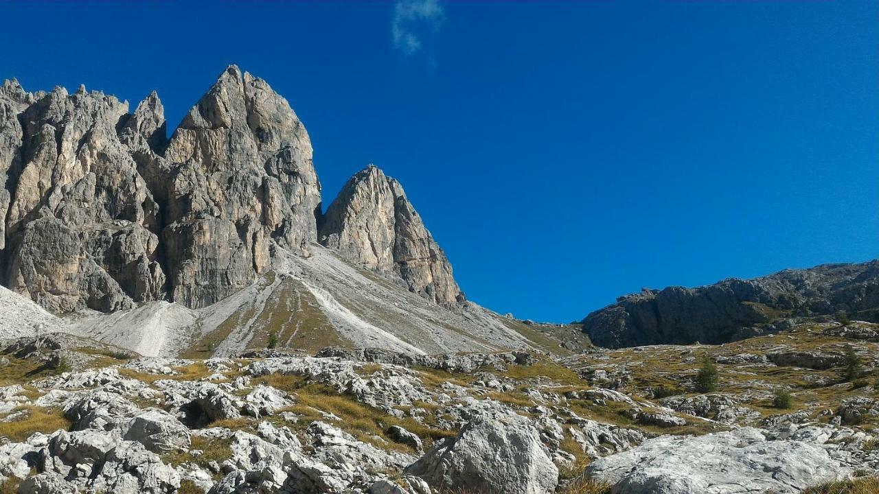 DosoledoBalcone Sulle Dolomiti 2公寓 外观 照片